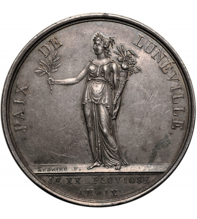 France. Napoleon I Bonaparte. Silver medal commemorating the Peace of Luneville, 1801