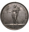 Francja. Napoleon I Bonaparte, srebrny medal upamiętniający pokój w Luneville, 1801