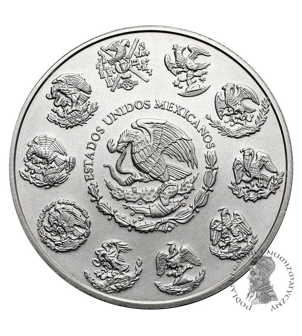 Meksyk. 1 Onza 2013, Libertad - Ag 1 Oz .999