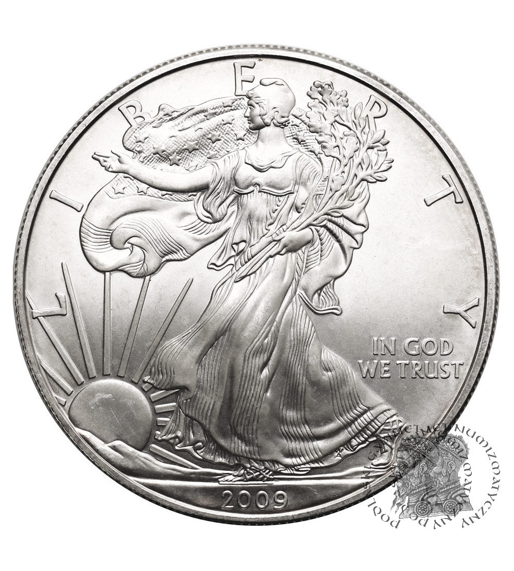 USA. 1 Silver Dollar 2009, American Eagle, Liberty walking -1 Oz .999
