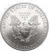 USA. 1 dolar 2009, American Eagle, Liberty - 1 Oz .999