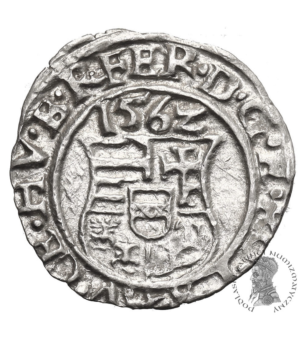 Węgry, Ferdynand I (1526-1564). Denar 1562 KB, Kremnica