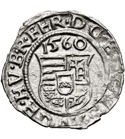 Hungary, Ferdinand I (1526-1564). Denar 1560 KB, Kremnica (Kremnitz)
