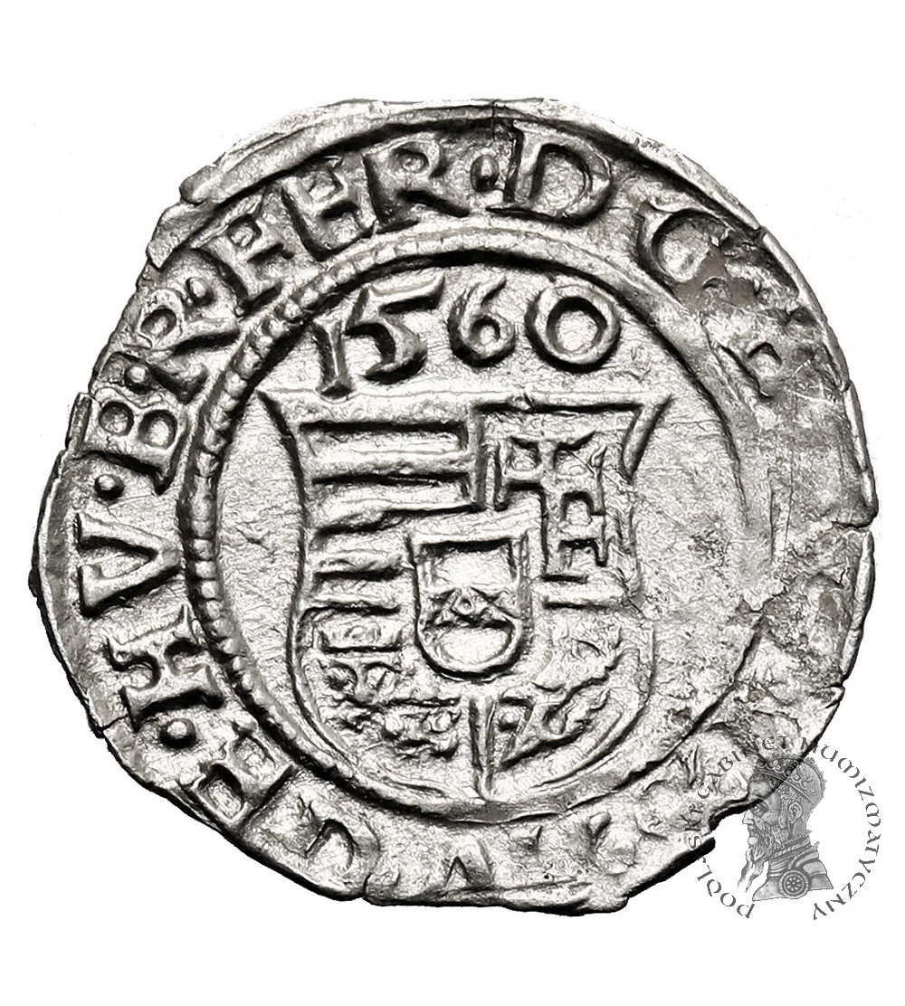 Węgry, Ferdynand I (1526-1564). Denar 1560 KB, Kremnica