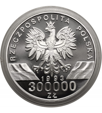 Poland. 300000 Zlotys 1993, Bam swallow - Silver Proof