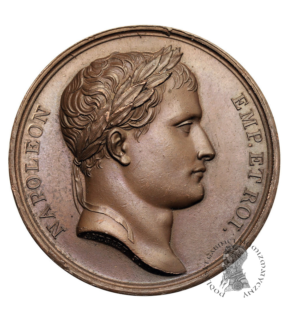 Francja, Napoleon I Bonaparte. Medal 1809 upamiętniający bitwę pod Raab